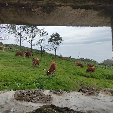 A Vixia Do Roncudo Alpstuga Corme